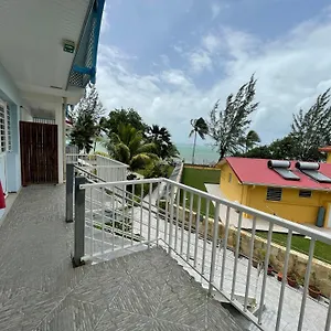 Gros Raisin , Sainte-Luce Martinique